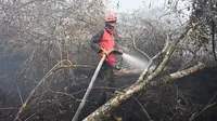 Seorang petugas pemadam kebakaran berupaya melakukan pemadaman di tengah pekatnya asap kebakaran di Kampar, provinsi Riau pada 17 September 2019. Kebakaran hutan dan lahan (karhutla) yang masih terjadi membuat sejumlah wilayah di Provinsi Riau terpapar kabut asap. (ADEK BERRY / AFP)
