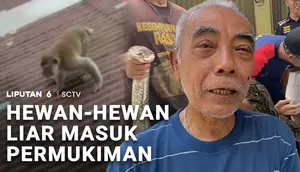 Hewan-Hewan Liar Masuk Permukiman
