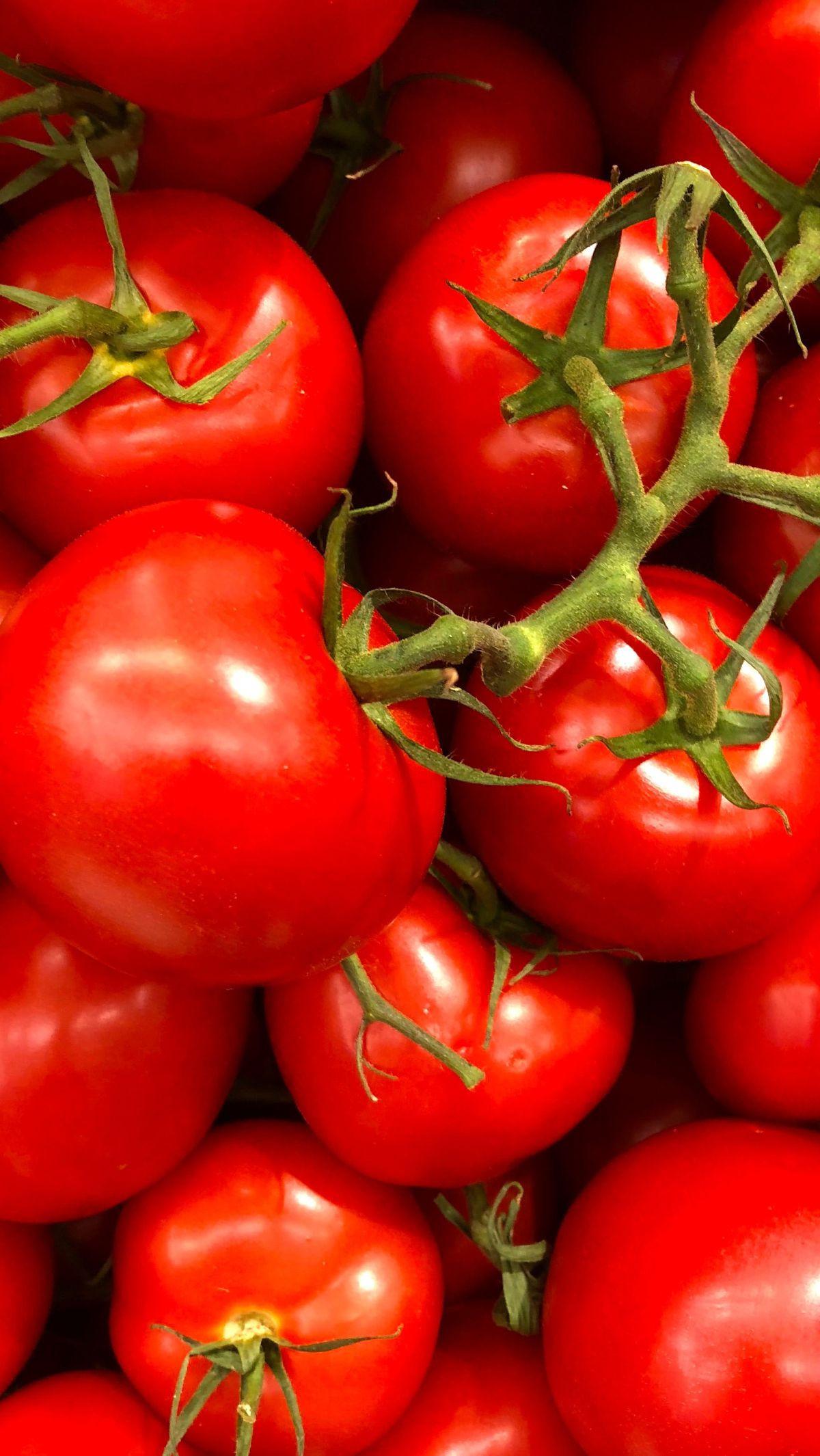 Buah Tomat Sebagai Bahan Utama Masker Alami