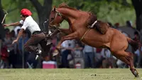 Seorang gaucho atau koboi terpental saat menaiki kuda liar pada kompetisi rodeo di San Antonio de Areco , Argentina, Minggu (8/11). Di acara ini, para gaucho saling bersaing menunjukkan keahlian mereka menunggangi kuda liar. (AFP PHOTO / Eitan Abramovich)