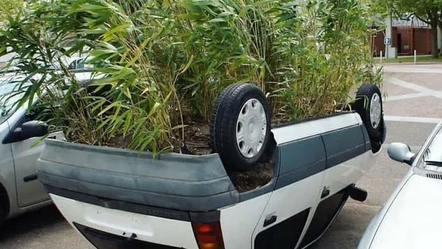6 Dekorasi Mobil dengan Konsep Tanaman Hijau Ini Kelewat Unik
