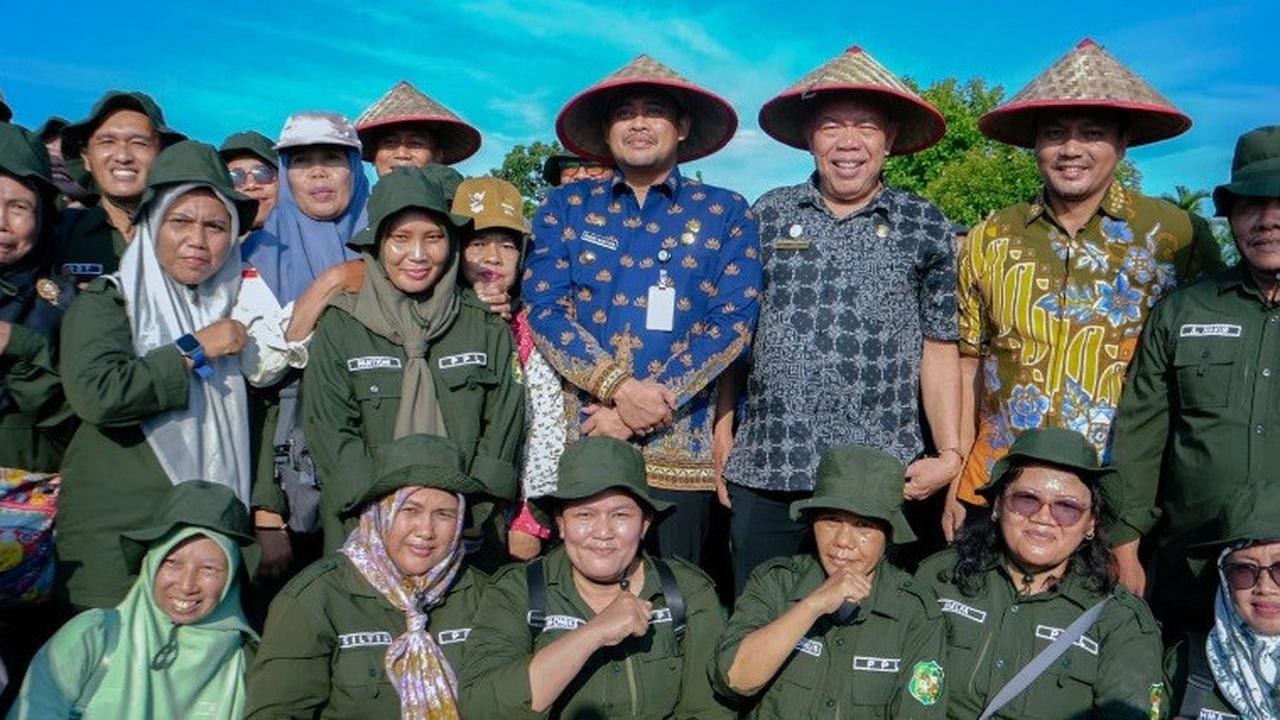 Panen Raya di Persawahan Mabar Hilir, Bobby Nasution Ingin Sektor Pertanian Berkembang