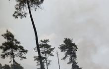 Terungkap, Penyebab Kebakaran di Gunung Guntur Akibat Siswa SMP Bakar Alang-Alang
