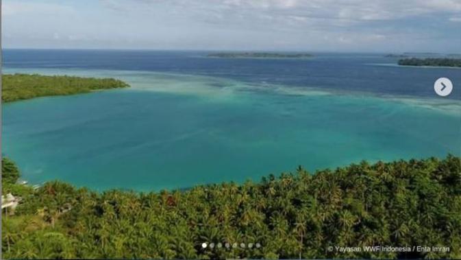 Maluku Tetapkan 4 Kawasan Konservasi Perairan Baru Indonesia - Vimarsana News