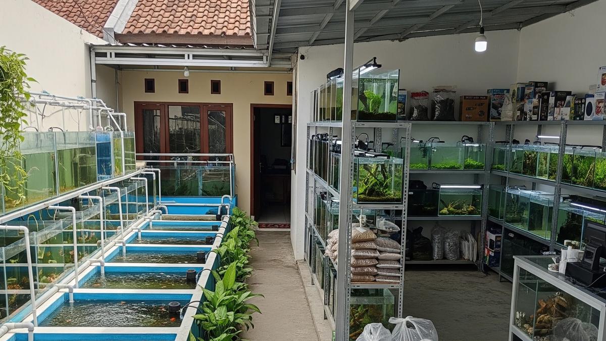 9 Usaha Ternak yang Bisa Digabung dengan Usaha Lain, Lebih Menguntungkan