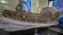 Awak media mencatat pengungkapan fosil paus sperma prasejarah "diawetkan utuh selama tujuh juta tahun", selama presentasi yang disebut "Makro- Raptor Sperm Whale of Ocucaje", di National Natural History di Lima, Peru, Rabu (15/2/2023). Penemuan itu dibuat pada tahun 2020 tetapi para ilmuwan telah bekerja hingga tahun lalu mempersiapkannya dan menyiapkannya untuk pameran ini. (Cris BOURONCLE / AFP)