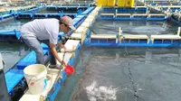 Dari Lahan Terbengkalai Jadi Harapan Baru: Kisah Tuah Bersatu di Pulau Kundur