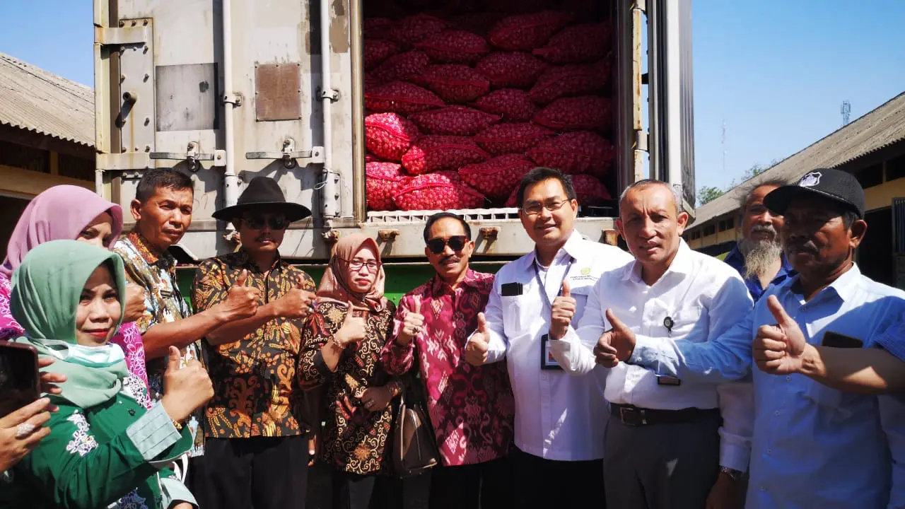 Produksi Berlimpah Ekspor Bawang Merah Probolinggo Serbu Thailand