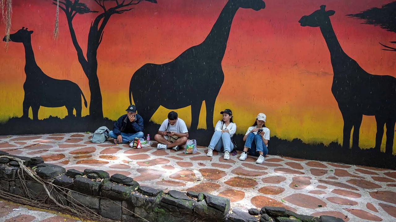 FOTO: Kebun Binatang Surabaya Jadi Pilihan Wisata Edukatif Selama Libur Akhir Tahun