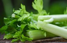 Apakah Seledri Bisa Menurunkan Darah Tinggi? Kenali Kandungan Nutrisi & Manfaatnya