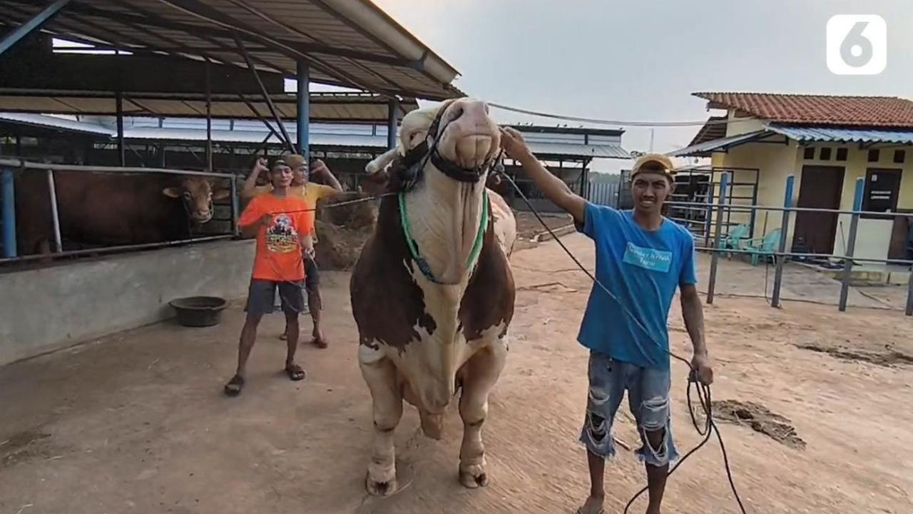 Tolak Tawaran Rp500 Juta