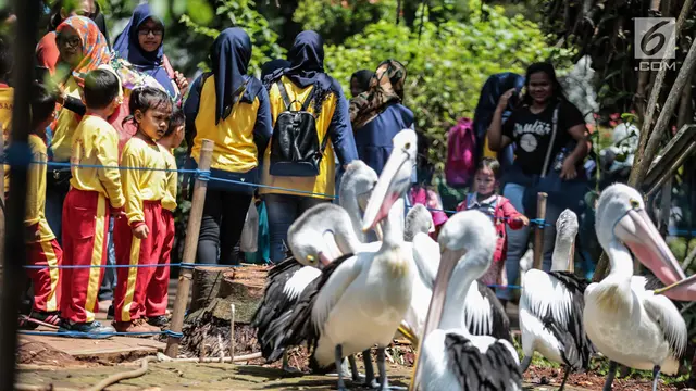 Keseruan Anak-Anak TK Belajar Mengenal Satwa Sejak Dini