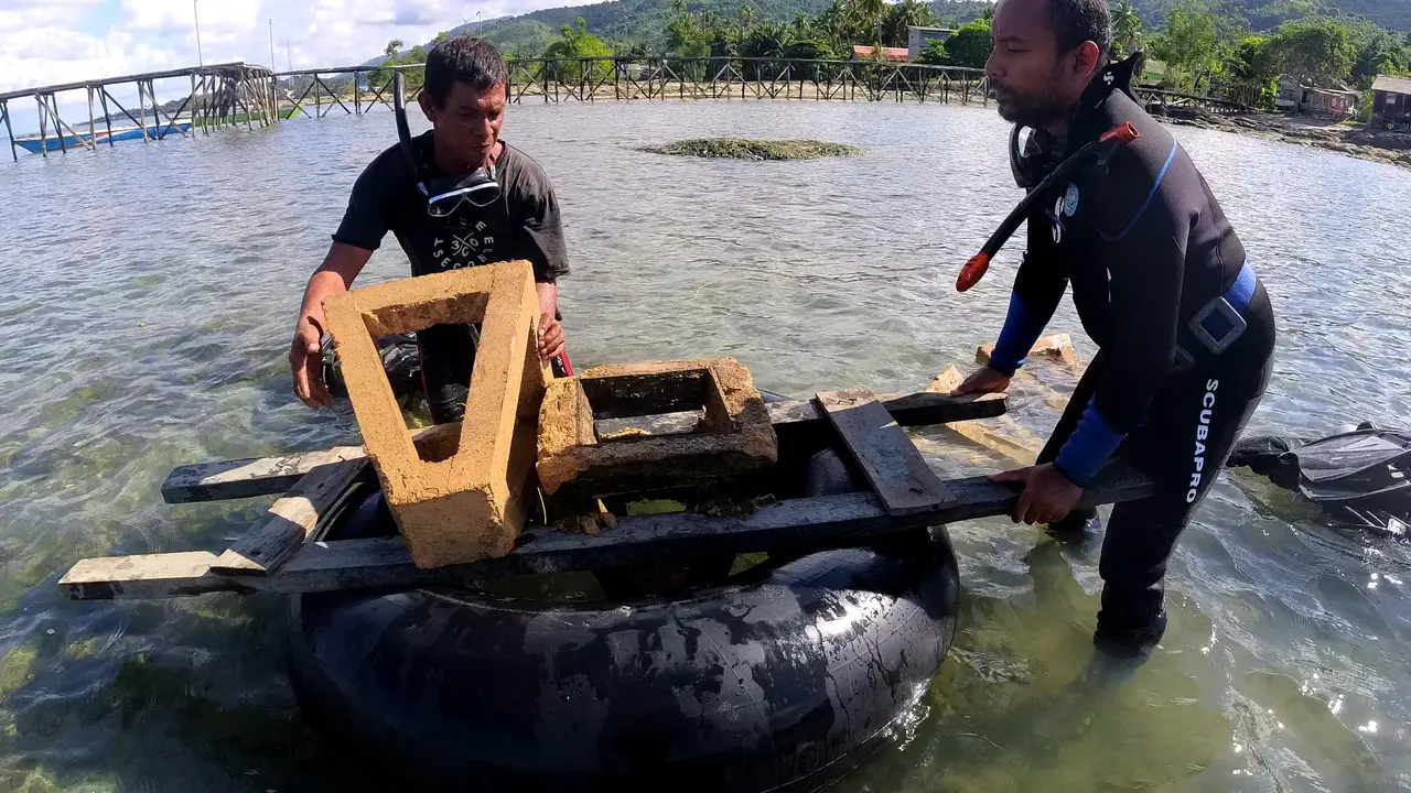 Transplantasi terumbu karang