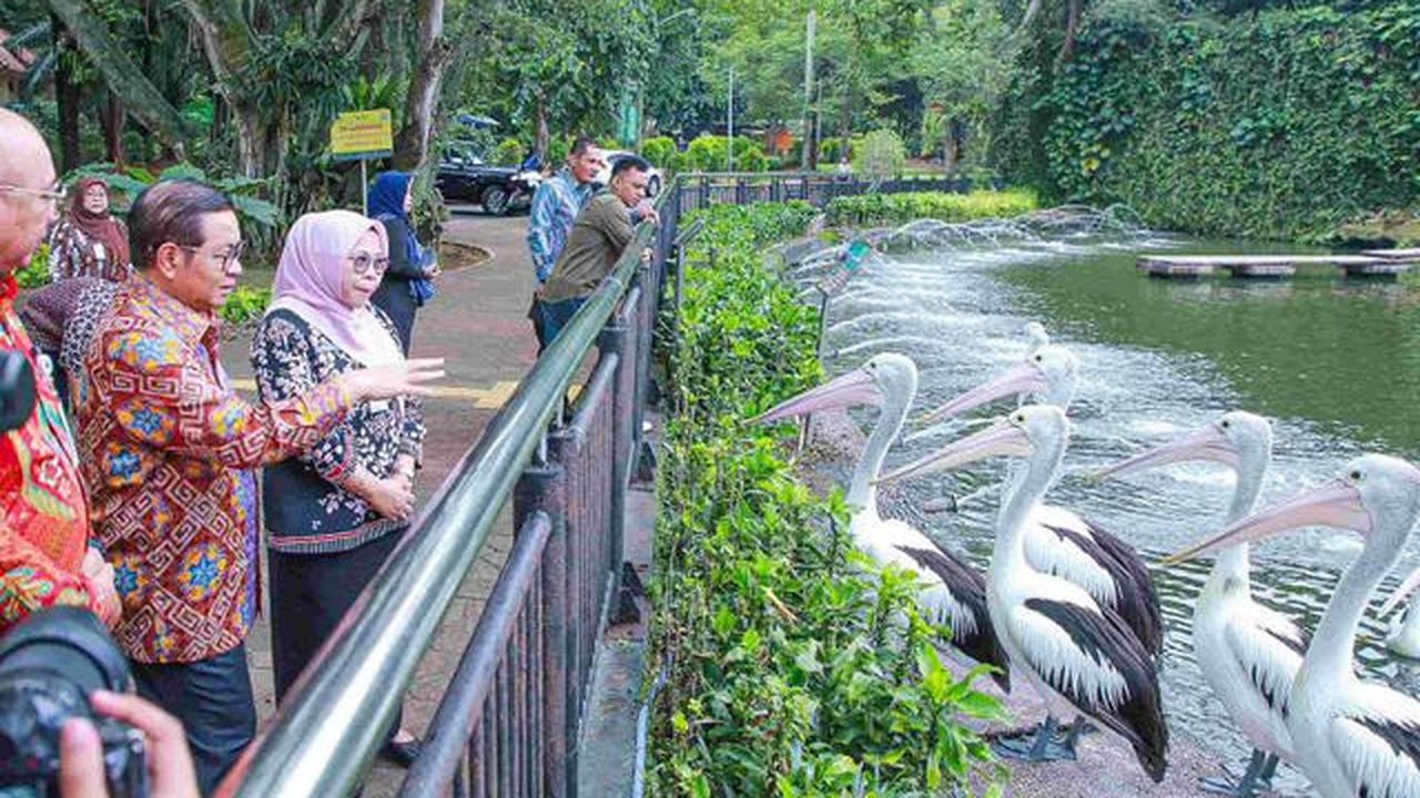 Libur Natal 2025, Pengunjung Ragunan Diprediksi Tembus 50 Ribu Hari Ini
