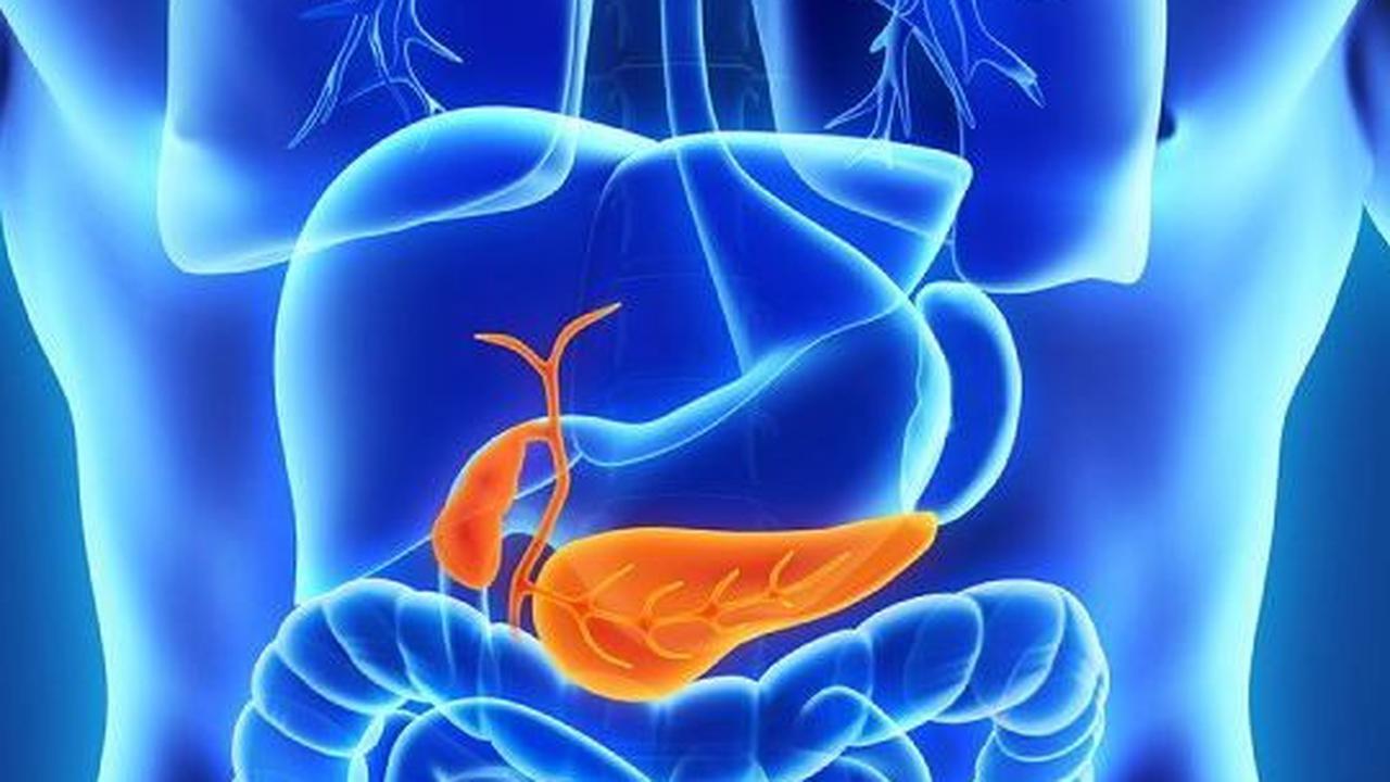 Cara Menjaga Pankreas agar Tetap Sehat, Minimalkan Risiko Diabetes