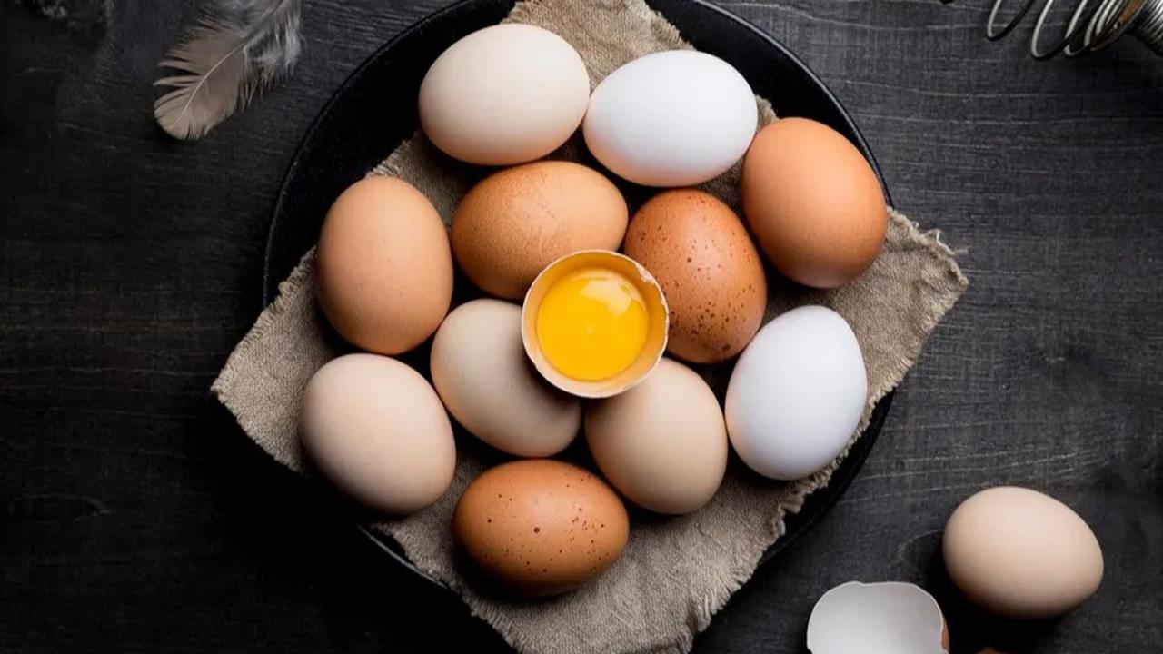 1.&nbsp;Telur