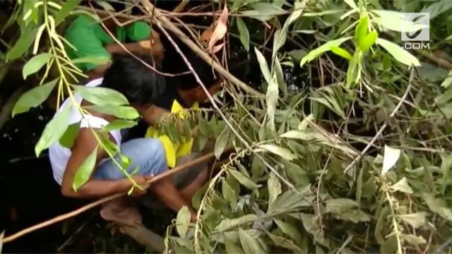 Meresahkan warga, akibat sering munculnya buaya di muara kolong tempat pemandian. Puluhan warga memburu buaya dengan cara dipancing.
Kepanikan terjadi saat salah satu warga berteriak menemukan keberadaan buaya disarangnya di sebelah kolong pemandian...