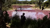 Pengunjung mengambil gambar danau yang berubah warna menjadi pink di Westgate Park, Melbourne, Australia, Senin (4/3). Saat berfotosintesis dan tingginya kadar garam, sungai ini akhirnya berubah warna dan akan kembali saat musim dingin. (William WEST/AFP)