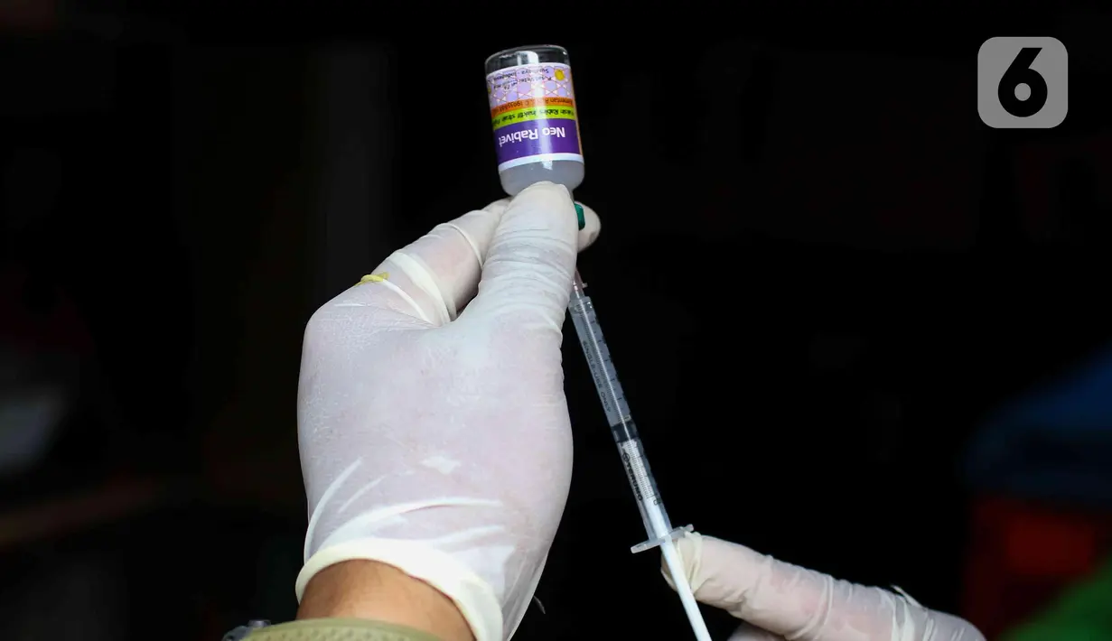 Petugas menyiapkan vaksin rabies untuk hewan di Pasar Barito, Jakarta, Senin (28/3/2022). Penyemprotan disinfektan, pemeriksaan kesehatan hewan dan vaksinasi rabies gratis untuk mengantisipasi penyebaran penyakit di pasar hewan tersebut. (Liputan6.com/Herman Zakharia)