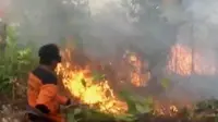 Segmen 2: Kebakaran Lahan hingga Aksi Iwan Fals Tanam Mangrove