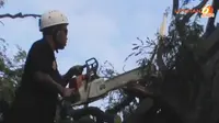 Puting Beliung Terjang 3 Wilayah di Jawa Tengah