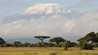 Gunung Kilimanjaro. (Photo credit: AFP Photo/Mladen Antonov)