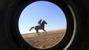 Seorang joki Palestina beraksi dalam lomba pacuan kuda di Jenin, Tepi Barat. (28/8/2015). (Reuters/Abed Omar Qusini)
