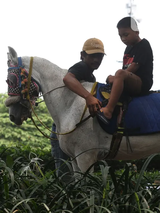 Sewa kuda tunggang ini hanya untuk anak-anak. (merdeka.com/Imam Buhori)
