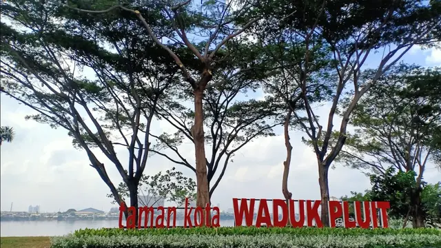 Taman Kota Waduk Pluit (Pluit Reservoir Park) (Foto: Google Maps)