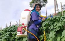 Terungkap, Ini Sederet Keuntungan Petani Bergabung dalam Program Makmur
