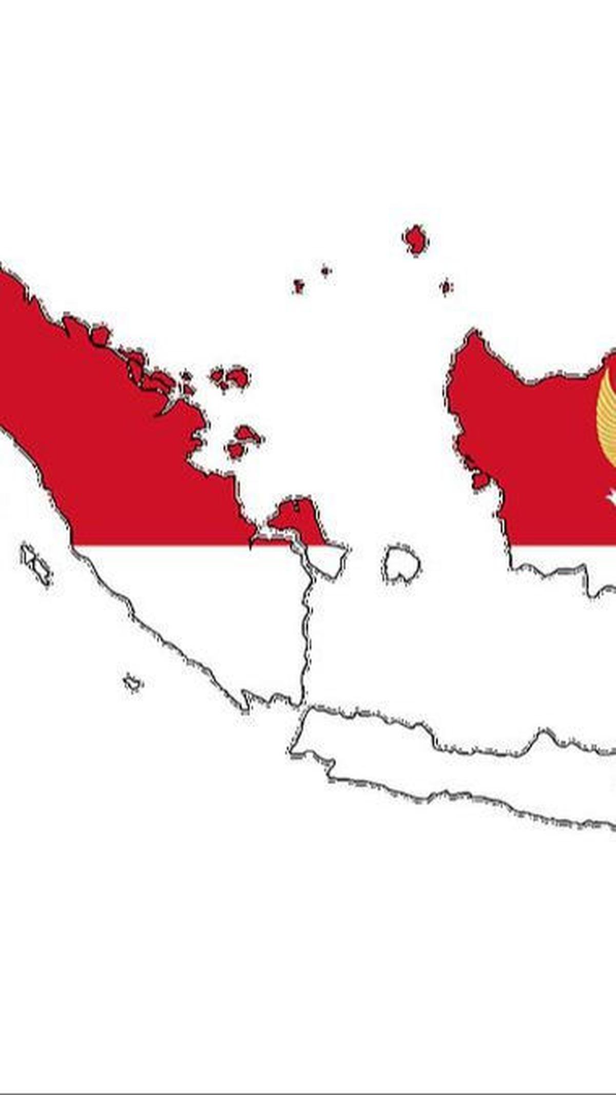 GAM akhirnya membubarkan diri pada tahun 2005 setelah melakukan perjanjian damai dengan pemerintah Indonesia.