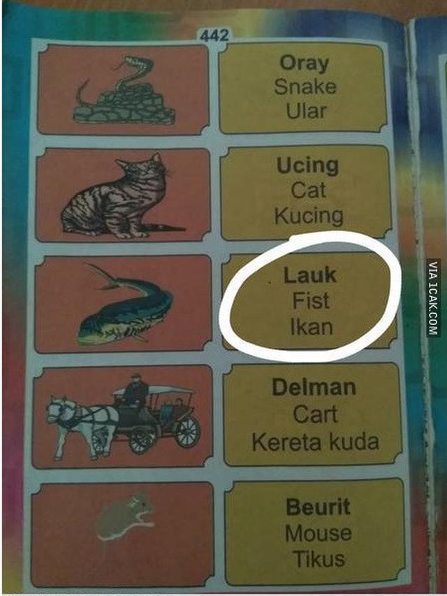 Kesalahan Tulisan Bahasa Inggris di Buku Anak-anak Ini Bikin Senyum-senyum
