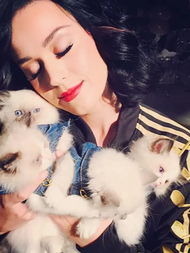 Gemas Banget, 8 Potret Selebritas Terkenal Bersama Kucing Kesayangan