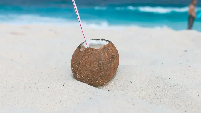 Cara Menyimpan Air Kelapa di Kulkas agar Tetap Awet Tanpa Perlu Membekukannya
