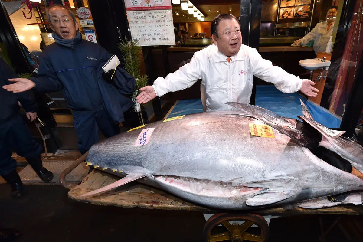 Tuna Sirip Biru