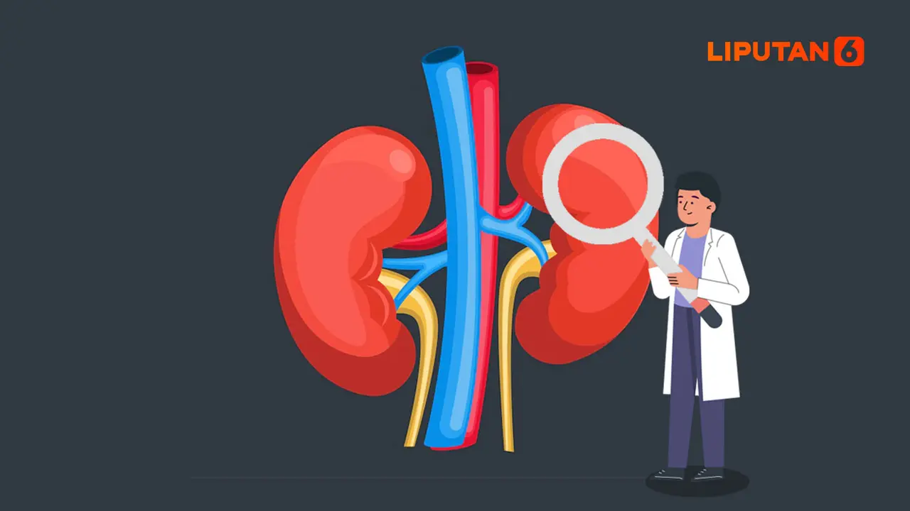Banner Infografis Tim Pencari Fakta Kasus Gagal Ginjal Akut Anak Dibentuk