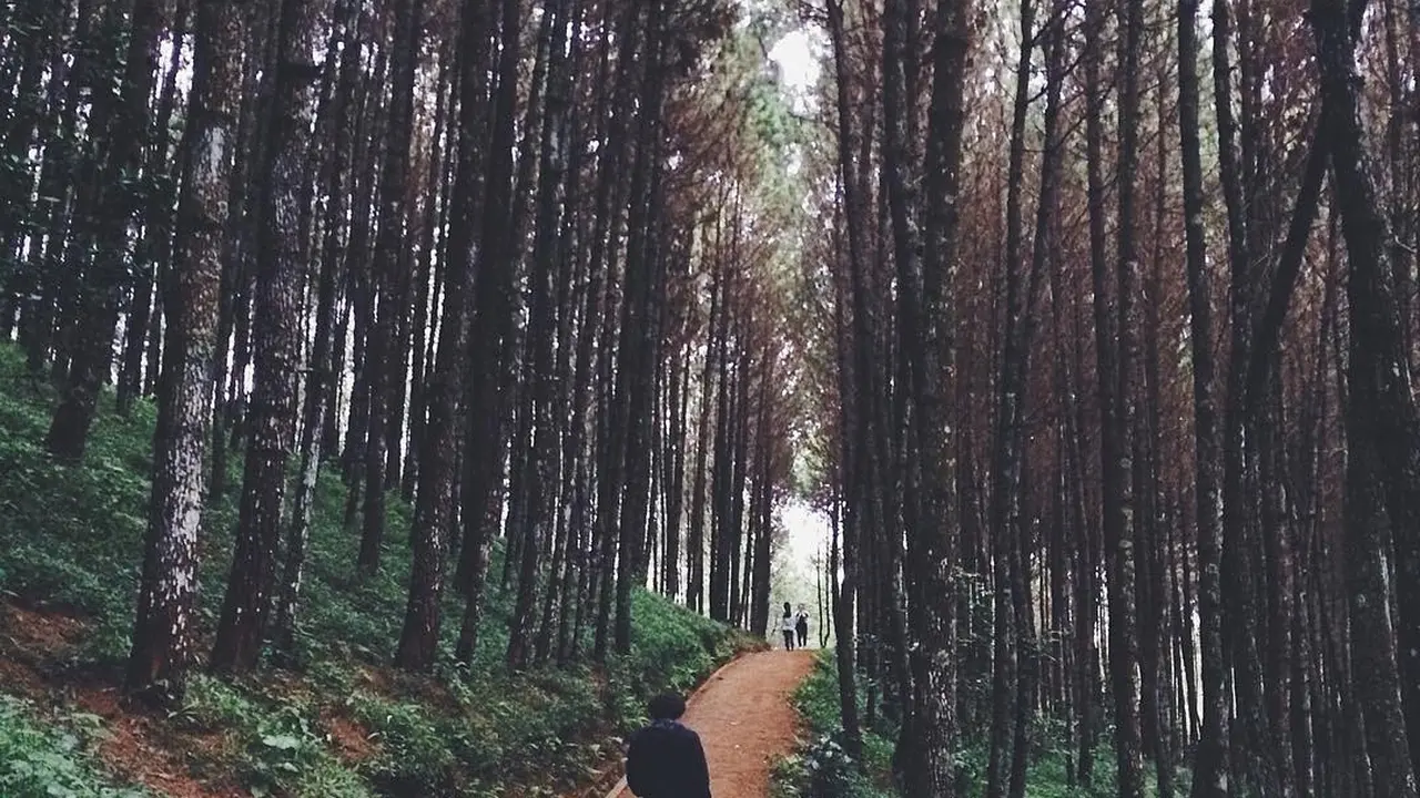 [Bintang] Jawa Barat
