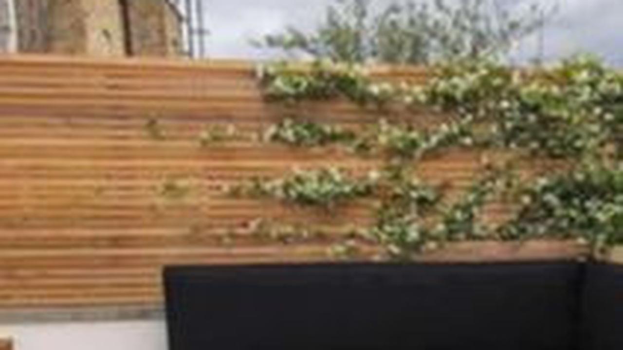Desain Taman Atap Rumah Minimalis Modern