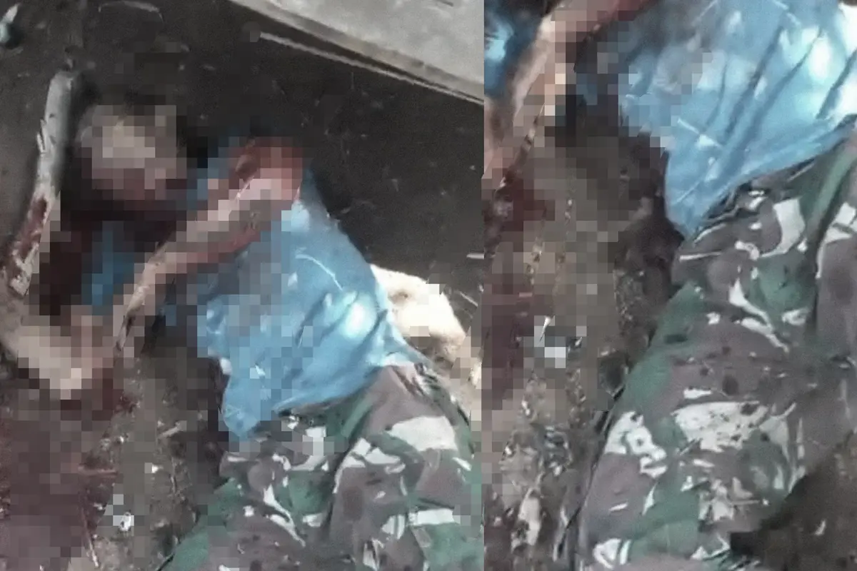 Tangkapan layar klaim video warga di Lampung Barat tewas diterkam harimau.