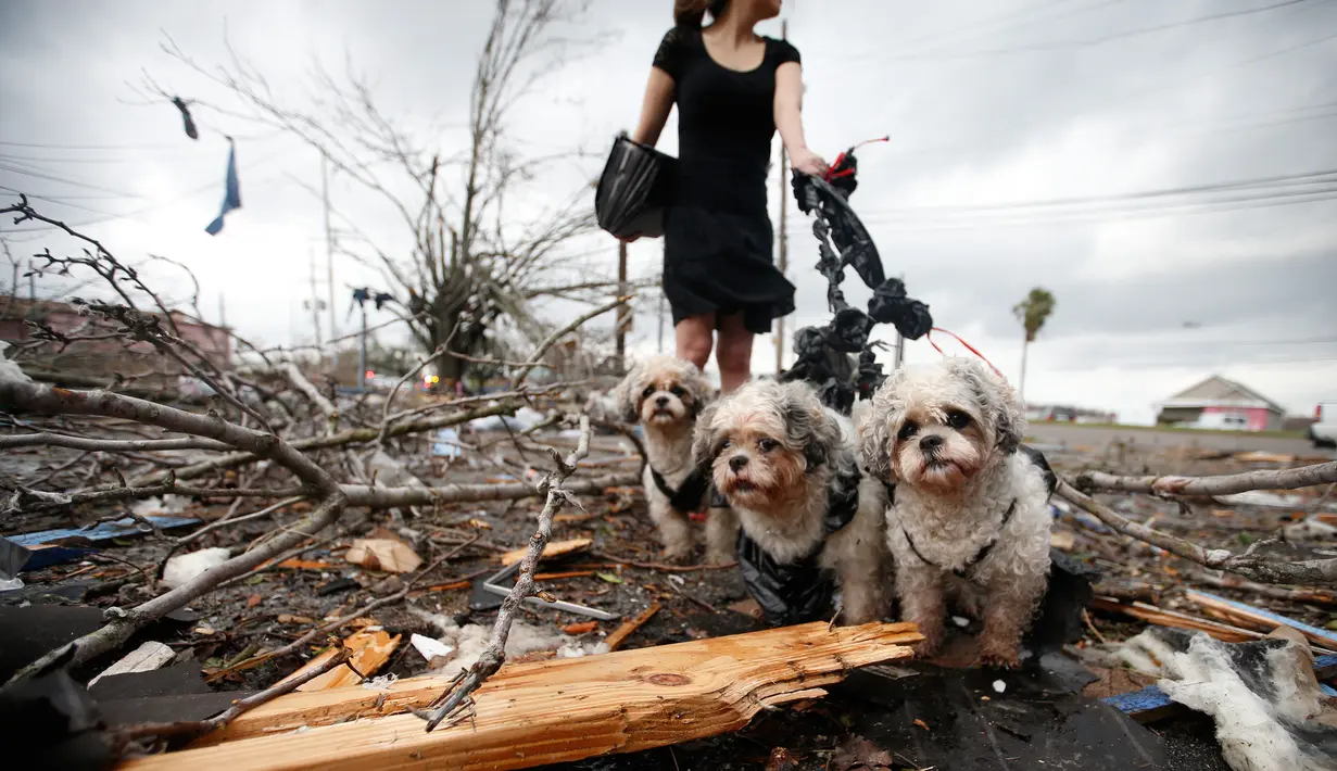 Seorang wanita membawa tiga anjing diantara puing-puing rumah yang rusak akibat Tornado di New Orleans, AS (7/2). (Sean Gardner/Getty Images/AFP)