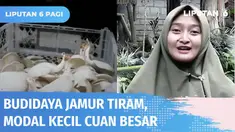 Berawal dari modal nekat Diana Wati menggerakan perekonomian desa lewat budidaya jamur tiram di Lombok Timur. Kini Diana bisa meraup untung besar. Mulai dari mempersiapkan baglog hingga penjualan jamur tiram. Simak kisahnya dalam Berani Berubah.