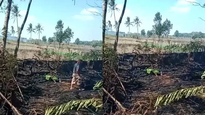 Petani Lansia Tewas Terjebak Kobaran Api Saat Bakar Lahan