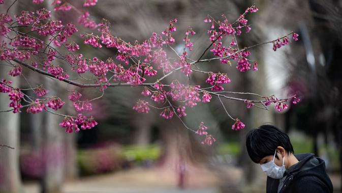 Seorang pria mengenakan masker melewati pohon sakura di taman Ueno, Tokyo, Jepang (12/3/2020). Di tengah kekhawatiran akan penyebaran virus corona COVID-19, Gubernur Tokyo Yuriko Koike menghimbau warga menghindari kerumunan saat pesta tradisional 