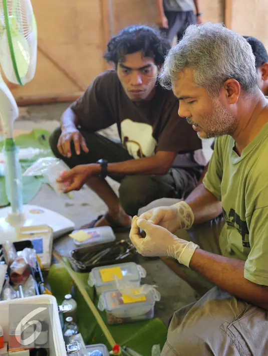 Drh. Anhar Lubis dan tim mempersiapkan obat untuk Harimau Sumatera yang terluka akibat terjerat jebakan rusa yang dipasang oleh warga, Mandailing Natal, Sumut, Sabtu (28/11/2015). (Foto:Ori Kakigunung)