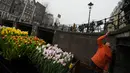 Buket tulip gratis dilemparkan ke orang-orang di Amsterdam, Belanda, Sabtu (15/1/2022). Suasana ibu kota Belanda semakin diringankan oleh garis-garis warna dalam bentuk dari ribuan tandan tulip gratis yang dibagikan para petani yang berlayar dengan perahu melalui kanal. (AP Photo/Peter Dejong)