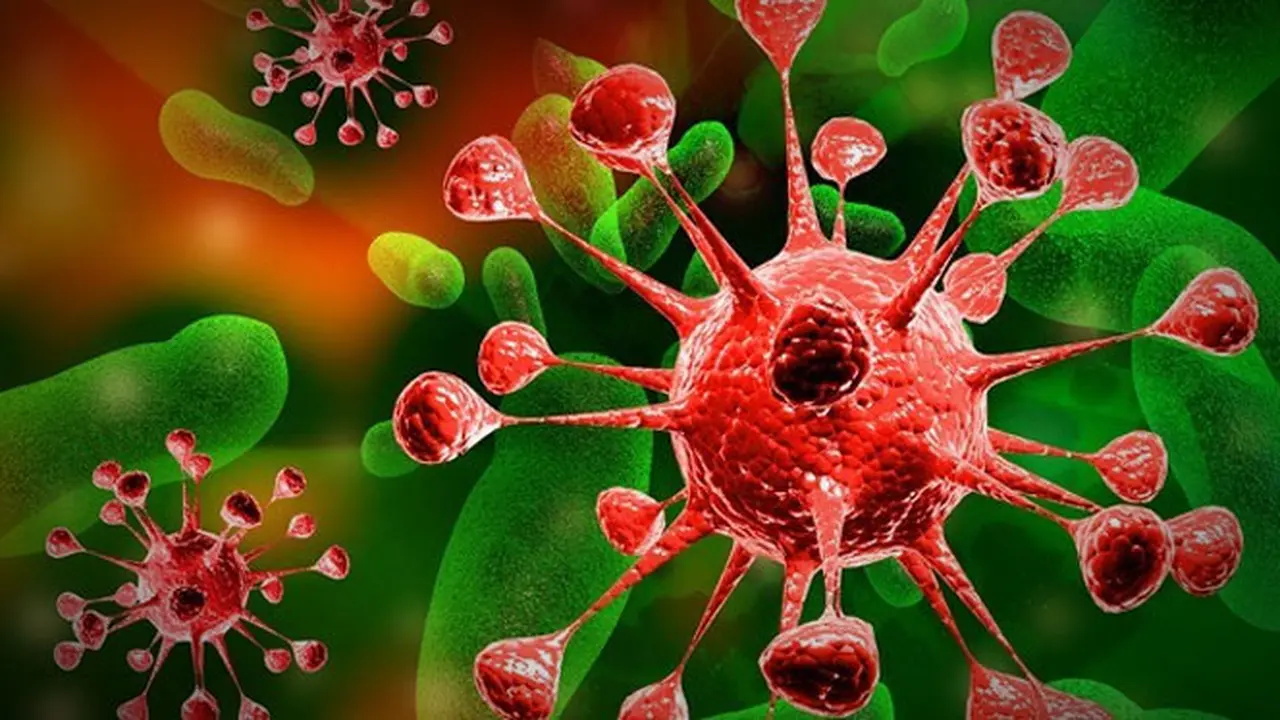infeksi-naegleria-130904b.jpg