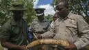 Petugas berwenang Malawi memeriksa gading gajah selundupan dari Tanzania sebelum dimusnahkan dengan cara dibakar, Senin (14/3/2016). Gading sebanyak 781 buah tersebut senilai hampir USD3 Juta (sekitar Rp39 miliar). (AMOS GUMULIRA/AFP)