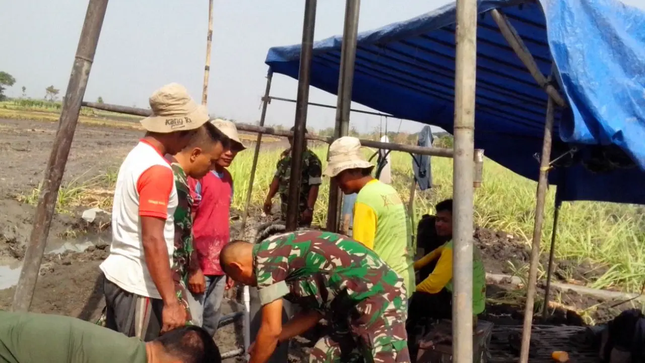 Petani di Ngawi