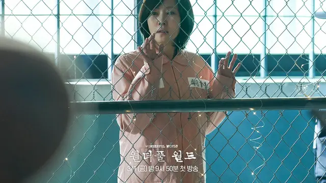 Kim Nam Joo - Wonderful World