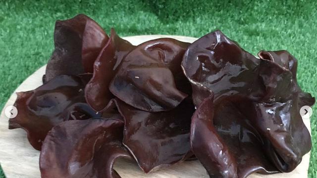 Cara Memasak Jamur Kuping agar Tidak Alot, Tetap Gurih dan Bergizi